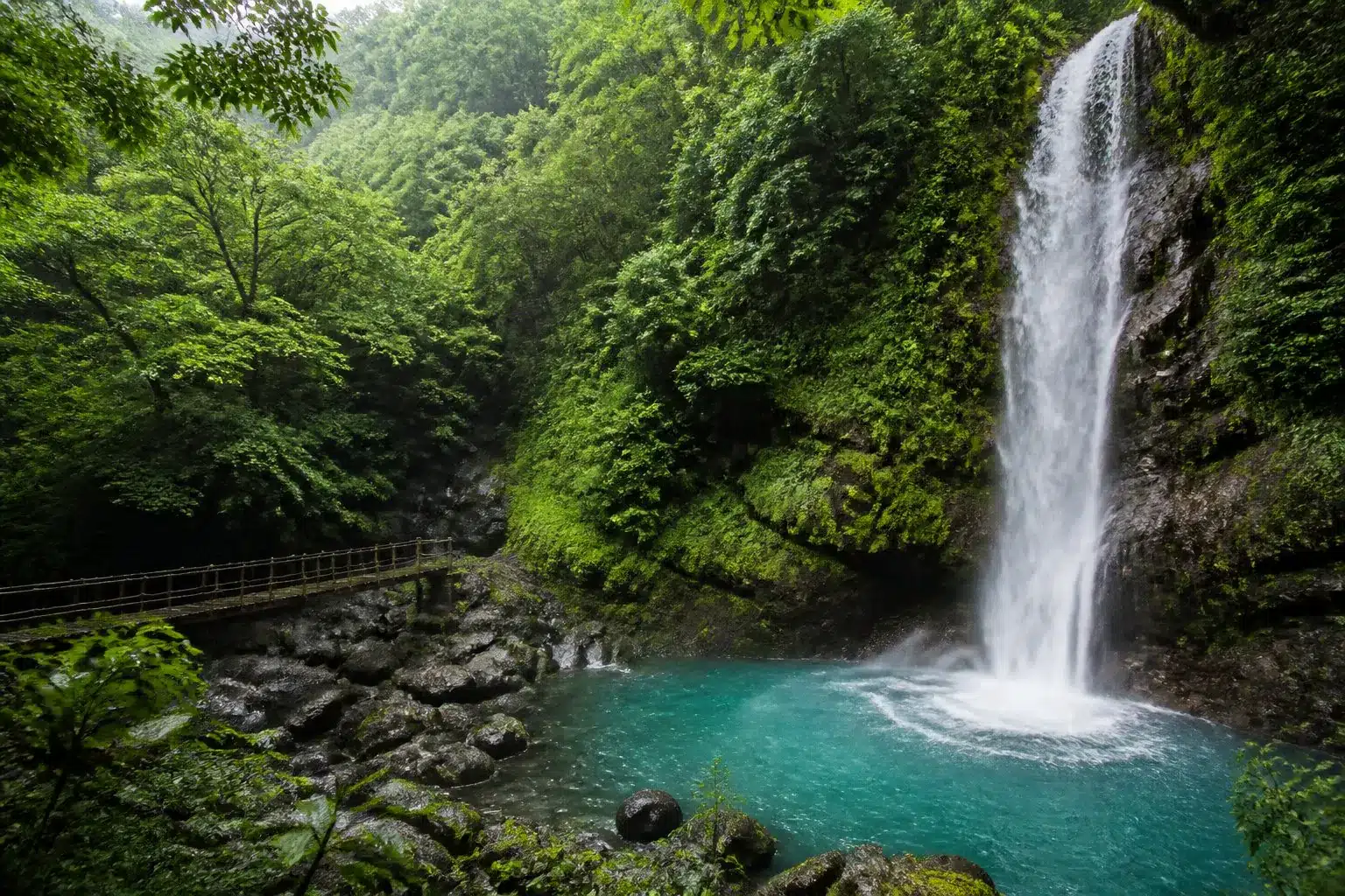 Cascade turquoise dans une forêt avec passerelle