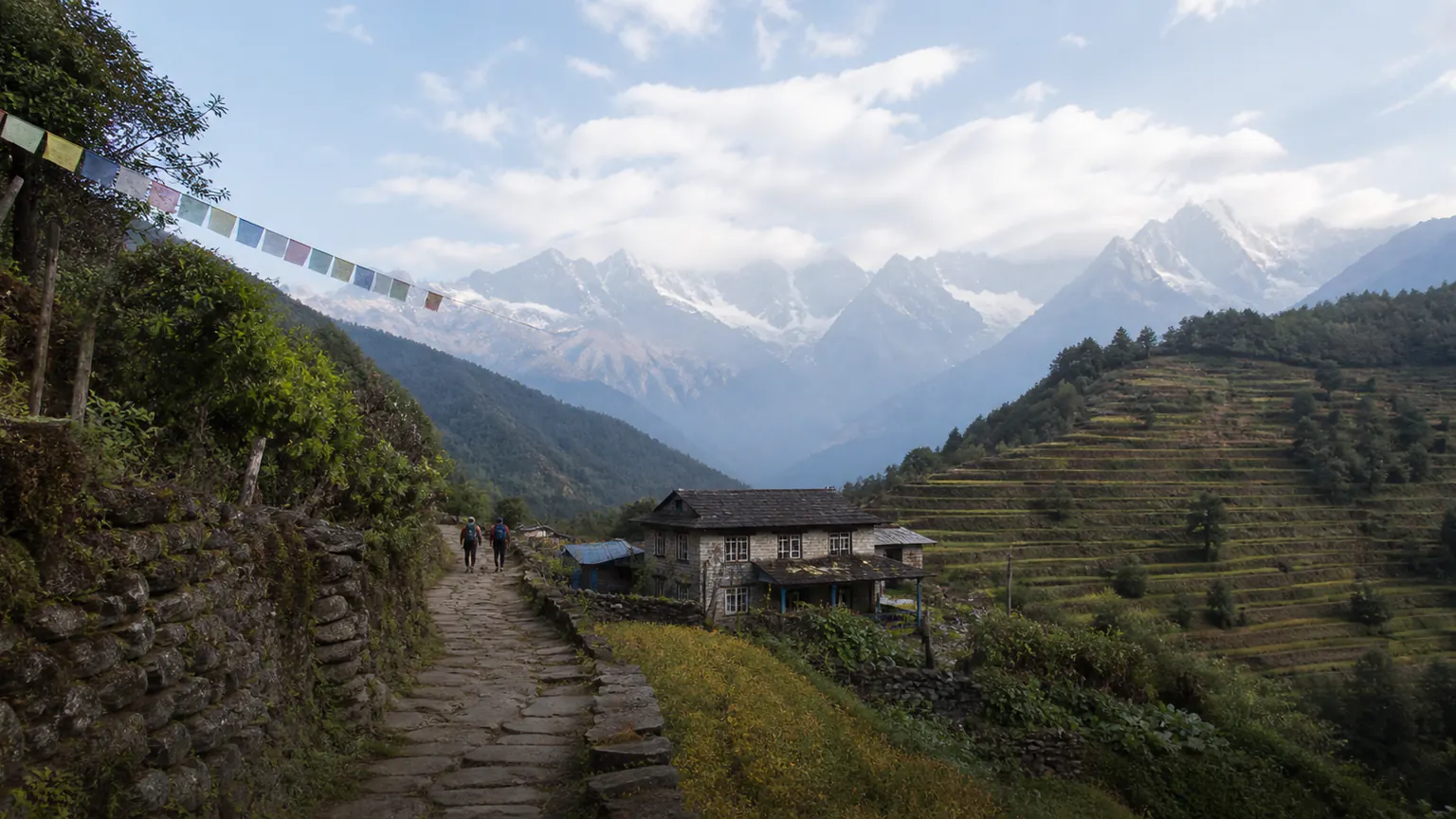 Sentier de pierre et cultures en terrasses face aux sommets de l’Himalaya au Népal