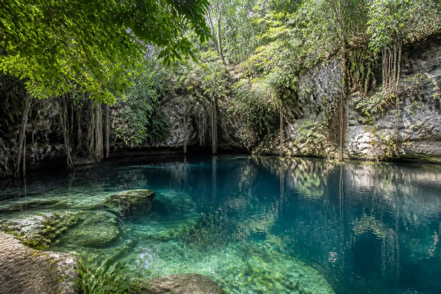 Cénote aux eaux turquoise entouré de végétation au Yucatán