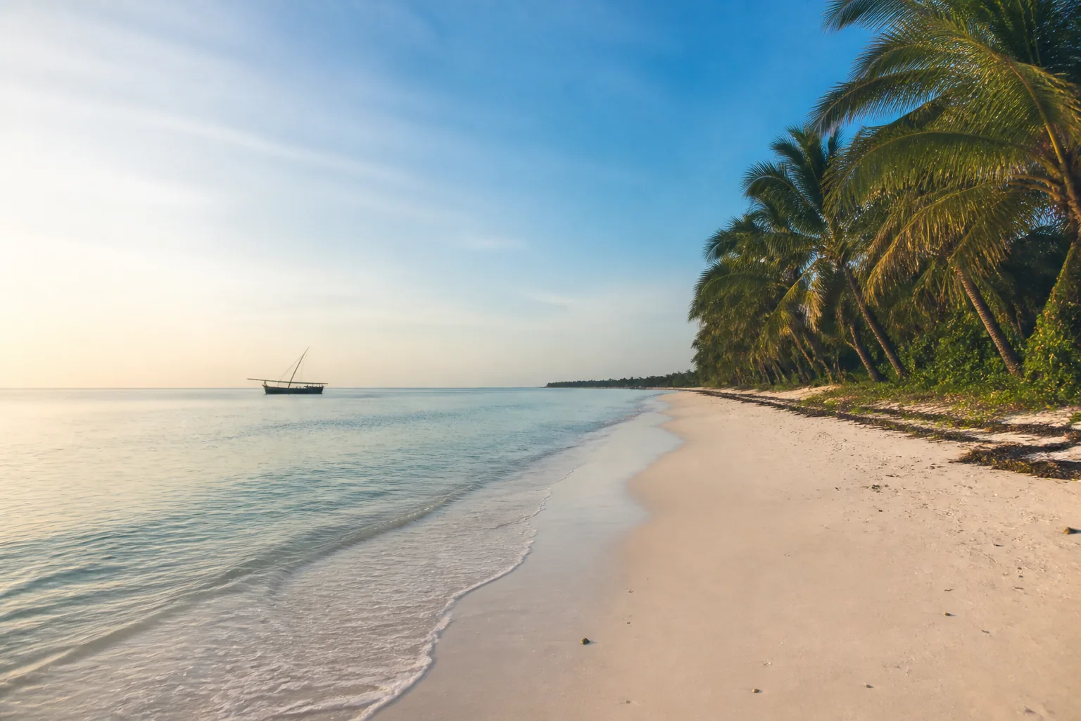 Plage bordée de palmiers et voilier au large à Zanzibar